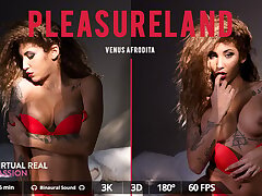 Pleasureland